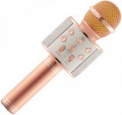 Wster WS-858 Portable Bluetooth Speaker Karaoke Microphone