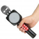 Wester WS1816 Wireless Professional Magic Karaoke Player
