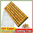 101 Eggs Plastic Setting Tray