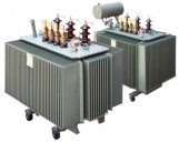 1000 kVA Oil Transformer Electrical Substation