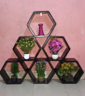 Hexagonal Wall Shelves Price in Bangladesh