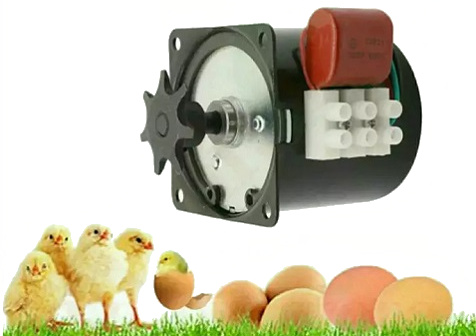 Egg Turning Motor for Incubator