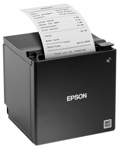Epson TM-M30 Mini POS Printer