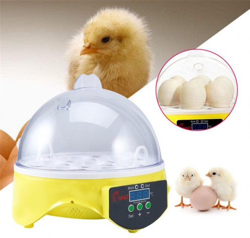 Homdox Mini 7 Eggs Digital Incubator