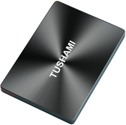Tushami F7-SL500 256GB 2.5" SATA III SSD