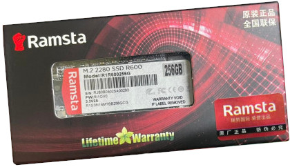 Ramsta R600 M.2 2280 256GB SSD