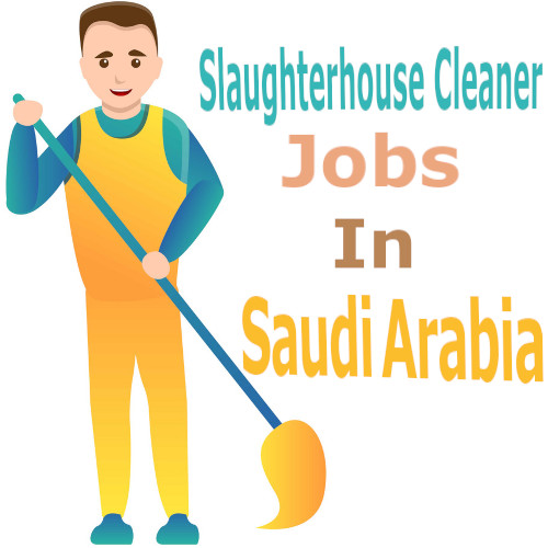 Slaughterhouse Cleaner Job in Saudi Arabia