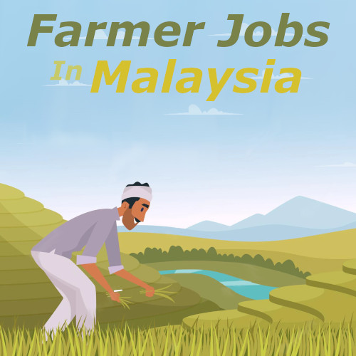 Farmer Jobs in Malaysia