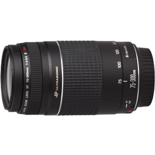 Canon EF 75-300mm f/4-5.6 III USM Digital SLR Camera Lens