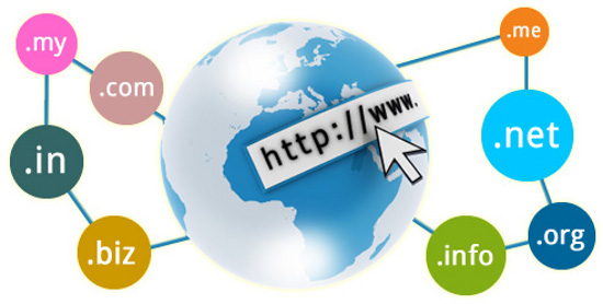 Domain Name Registration Service with Full Control