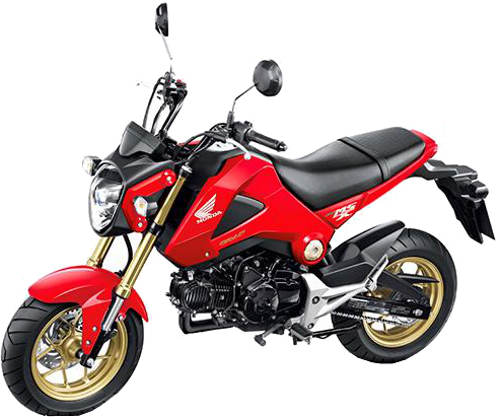 Honda Groom MSX-125 Air-Cooled Single-Cylinder Motorcycle