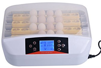 Automatic 32 Egg Hatchery Machine