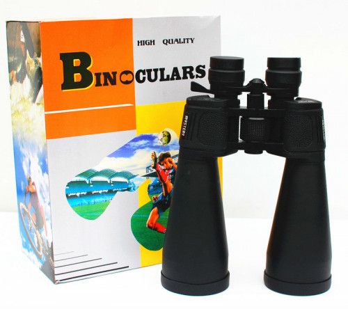 Bushnell 10-380X100 Professional Zoom Binoculars