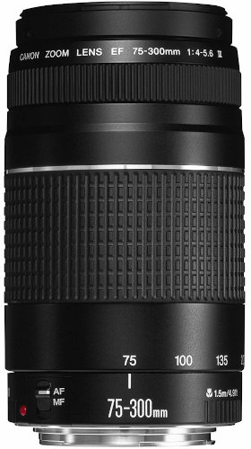 Canon EF 75-300mm f/4-5.6 III Lens Price in Bangladesh | Bdstall